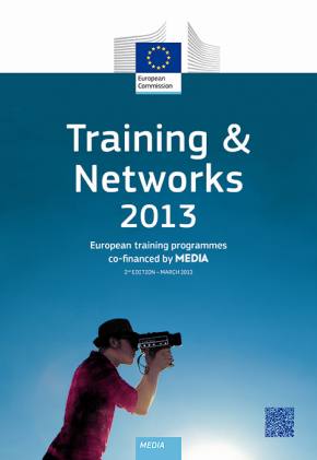 Training & Networks 2013 (2nd edition)
