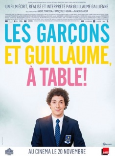 http://www.europacreativamedia.cat/wp-content/uploads/estrenes/Les_garcons_et_Guillaume.jpg